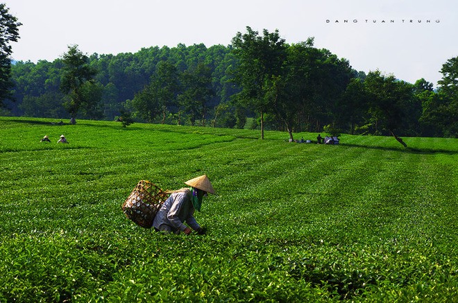 Northern Vietnam, a charming beauty  - ảnh 5